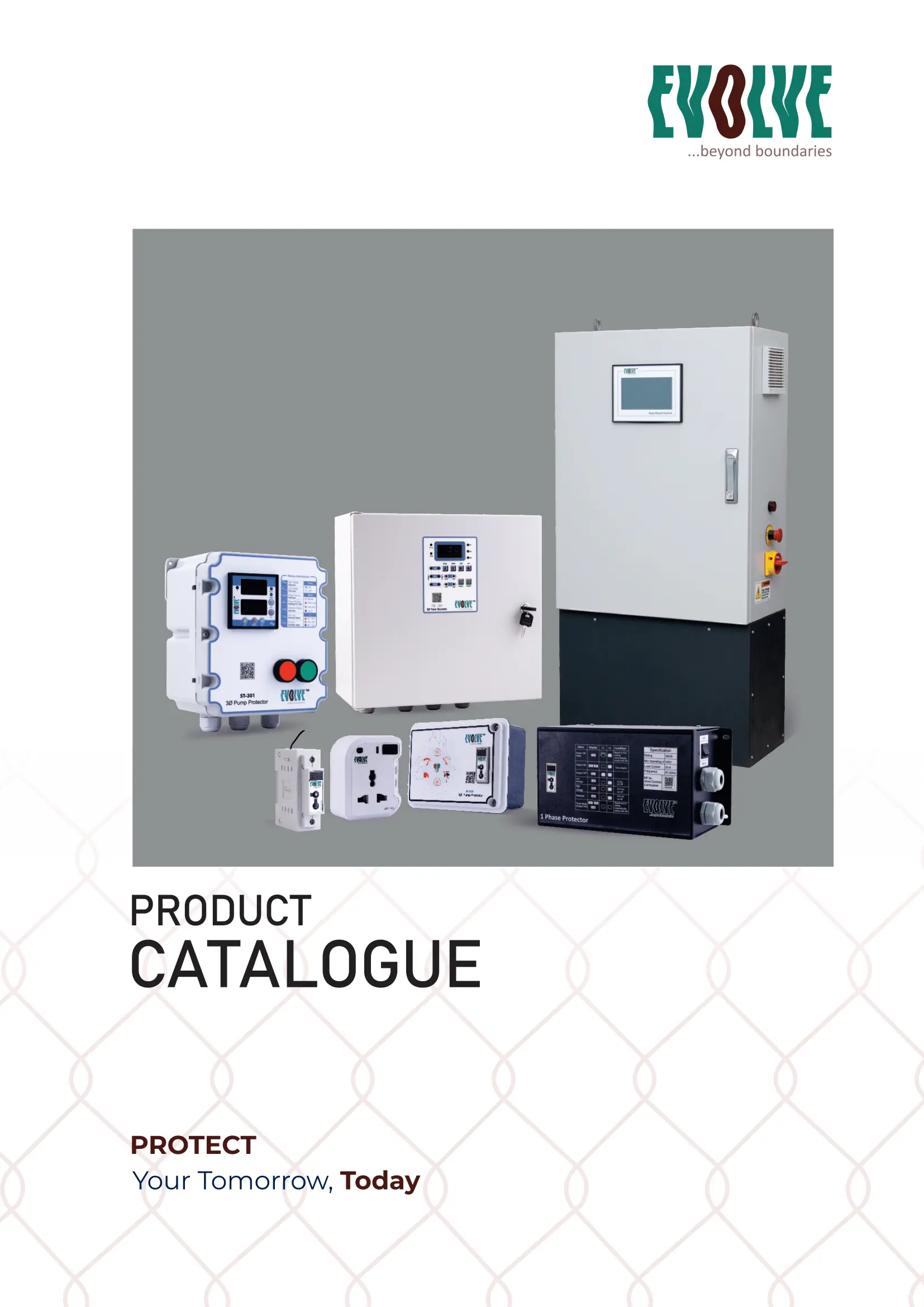 1st image description